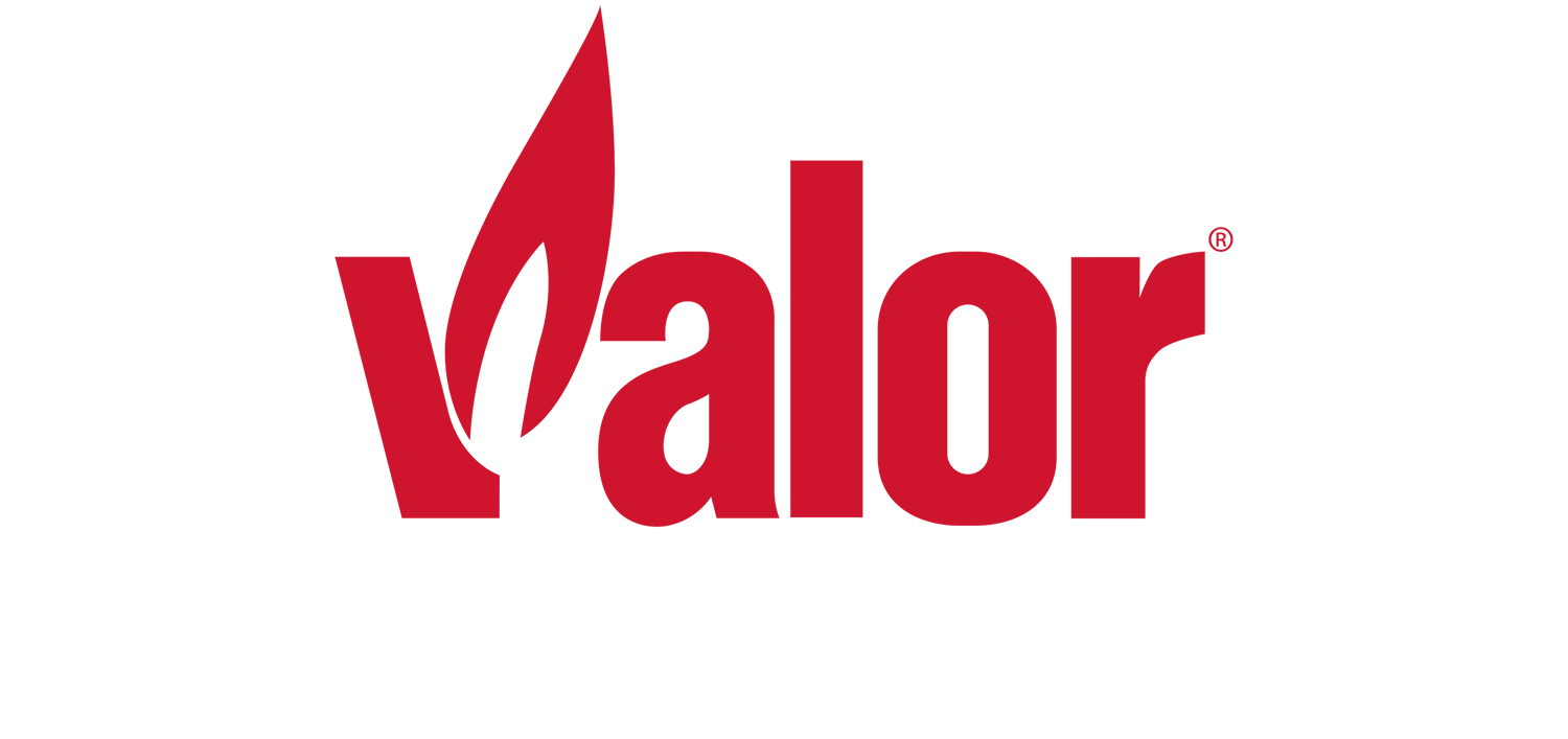 valor logo_stack_pms 186+w